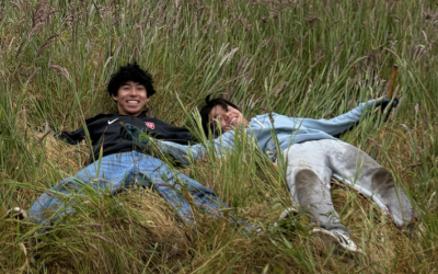 Eco Volunteering in the Presidio