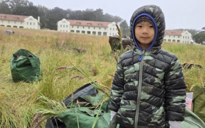 Weeding at Presidio Park in June